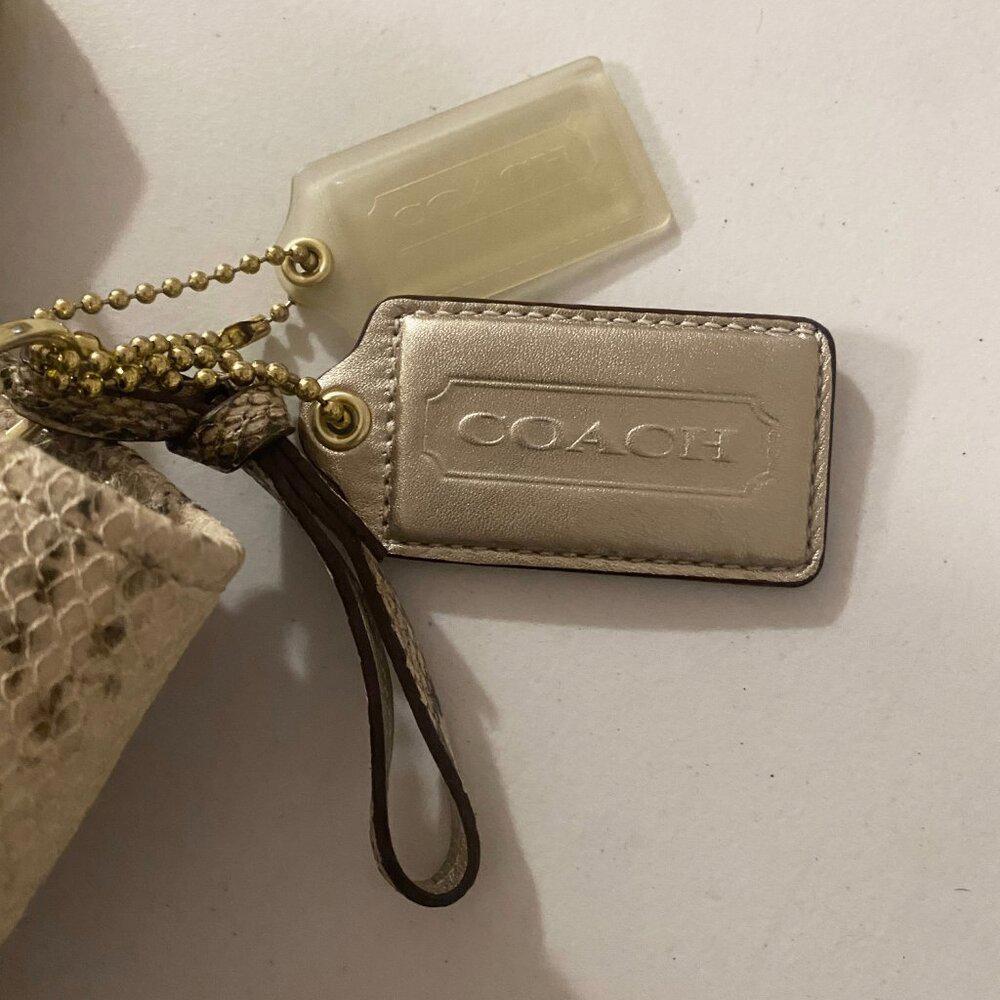 COACH 17043 Audrey Python Slim Tote