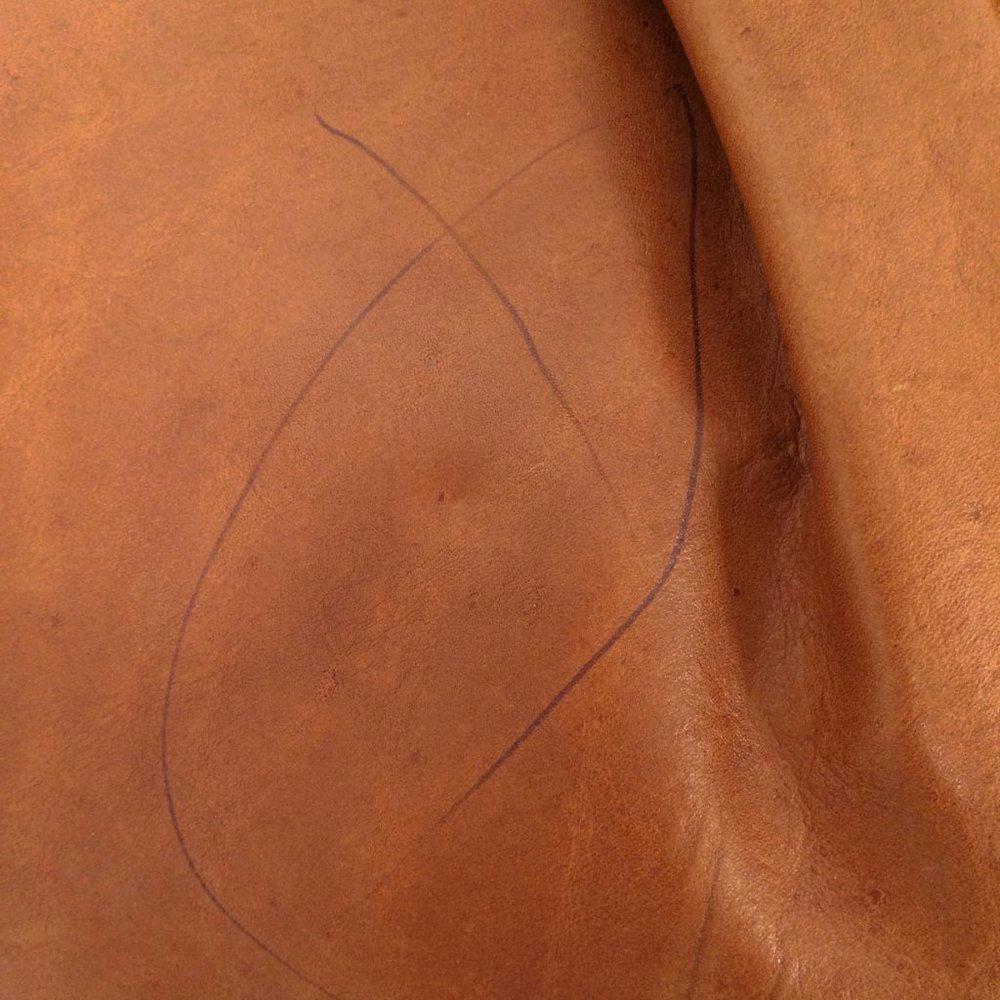 Patricia Nash Napoli Leather Bag