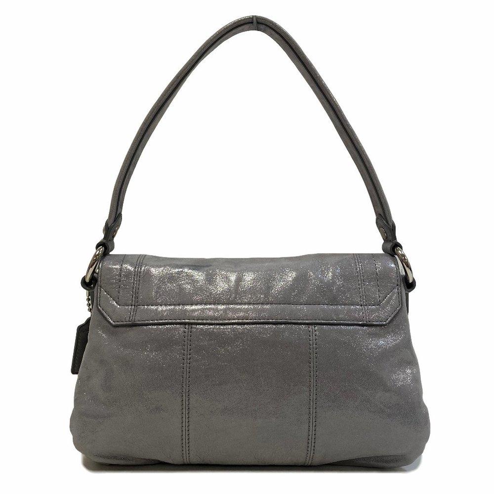 COACH 18160 Poppy Silver Layla Crossbody