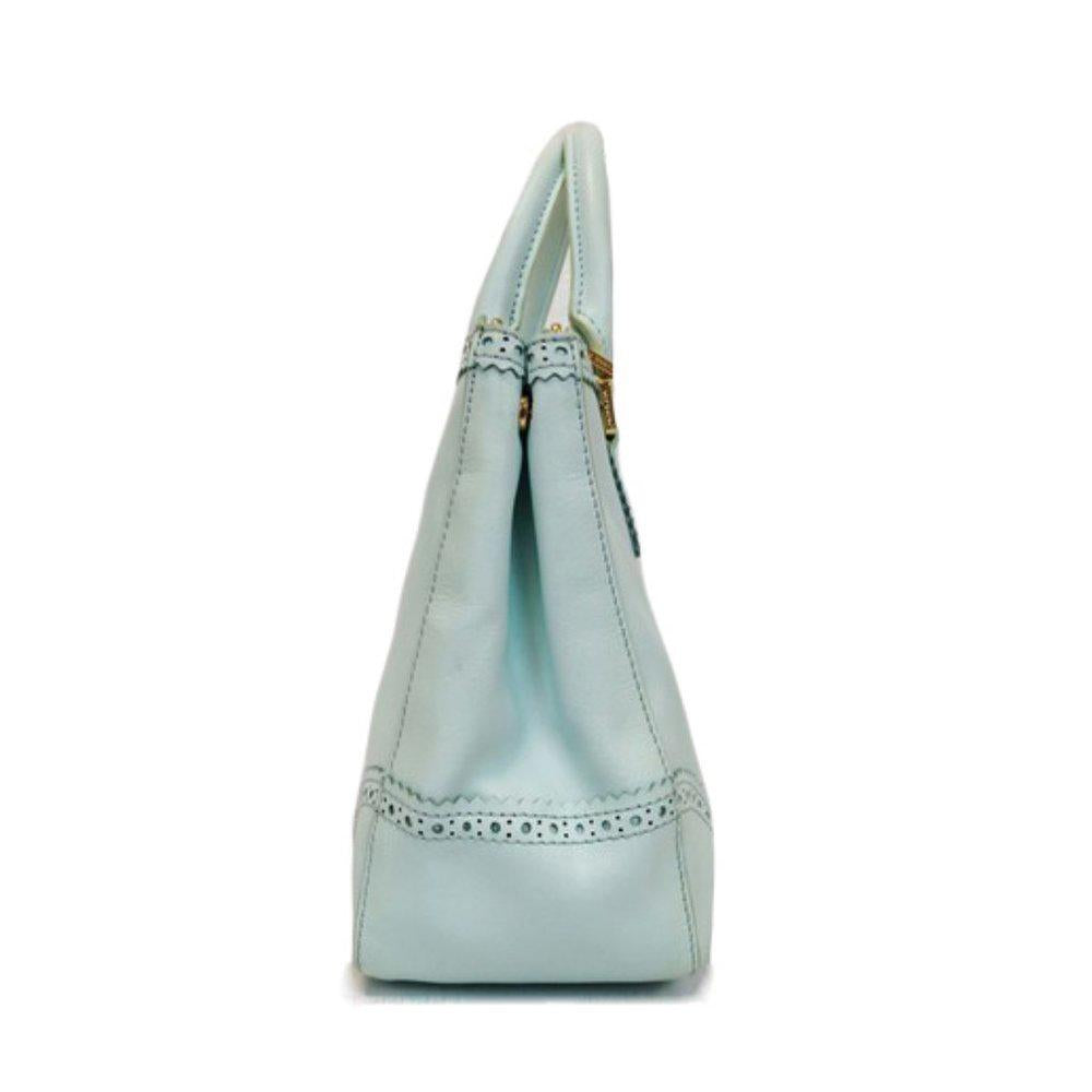 Tory Burch Robinson Spectator Mint Green Satchel