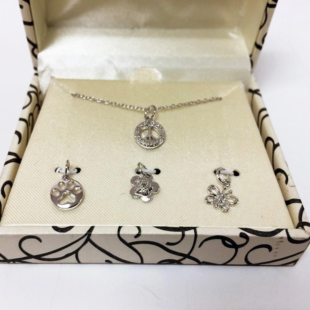 Sterling Silver Necklace  and Charm Set
